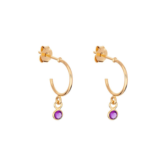 February Birthstone Hoop Earrings