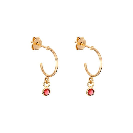 January Birthstone Hoop Earrings