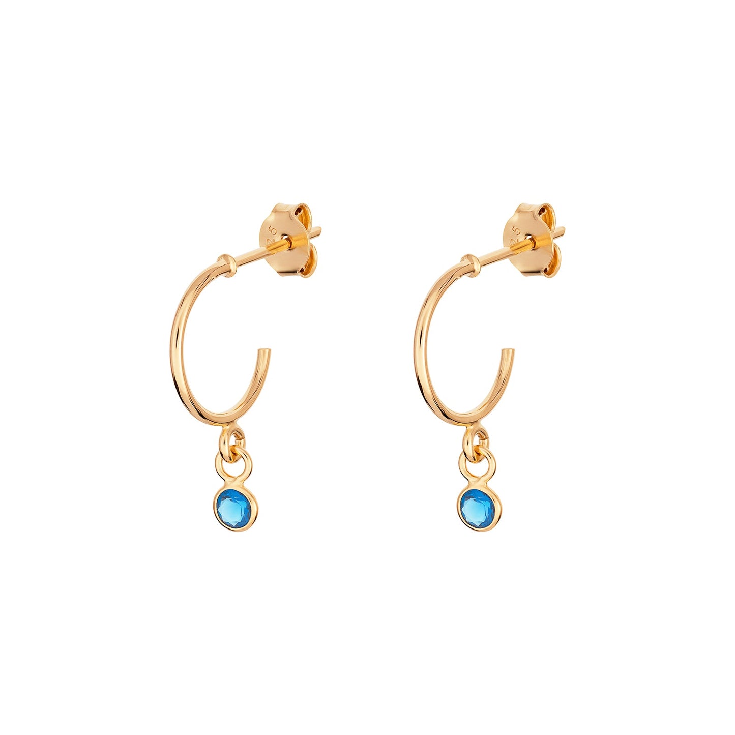 December Birthstone Hoop Earrings