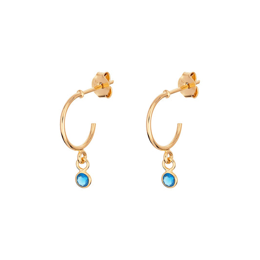 December Birthstone Hoop Earrings