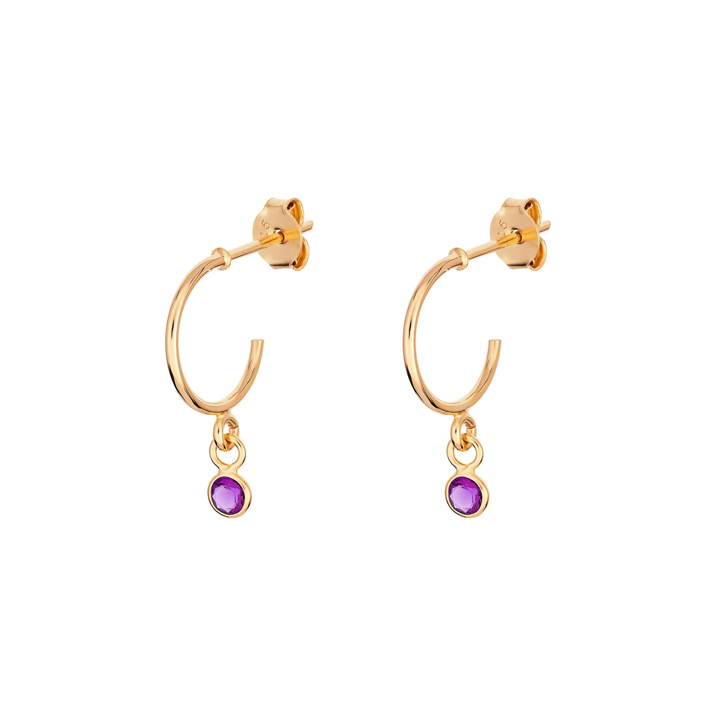 February Birthstone Hoop Earrings