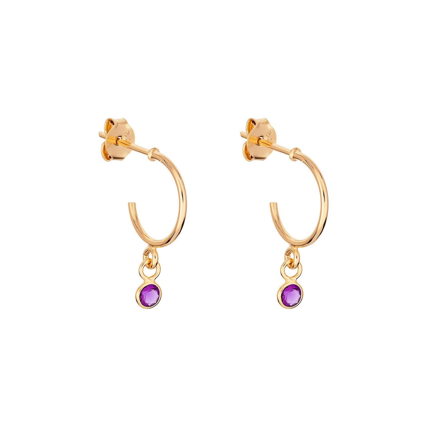 February Birthstone Hoop Earrings