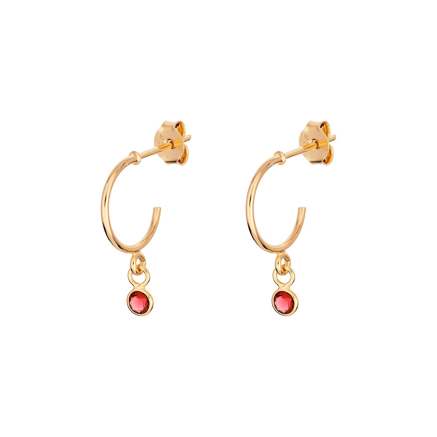 January Birthstone Hoop Earrings