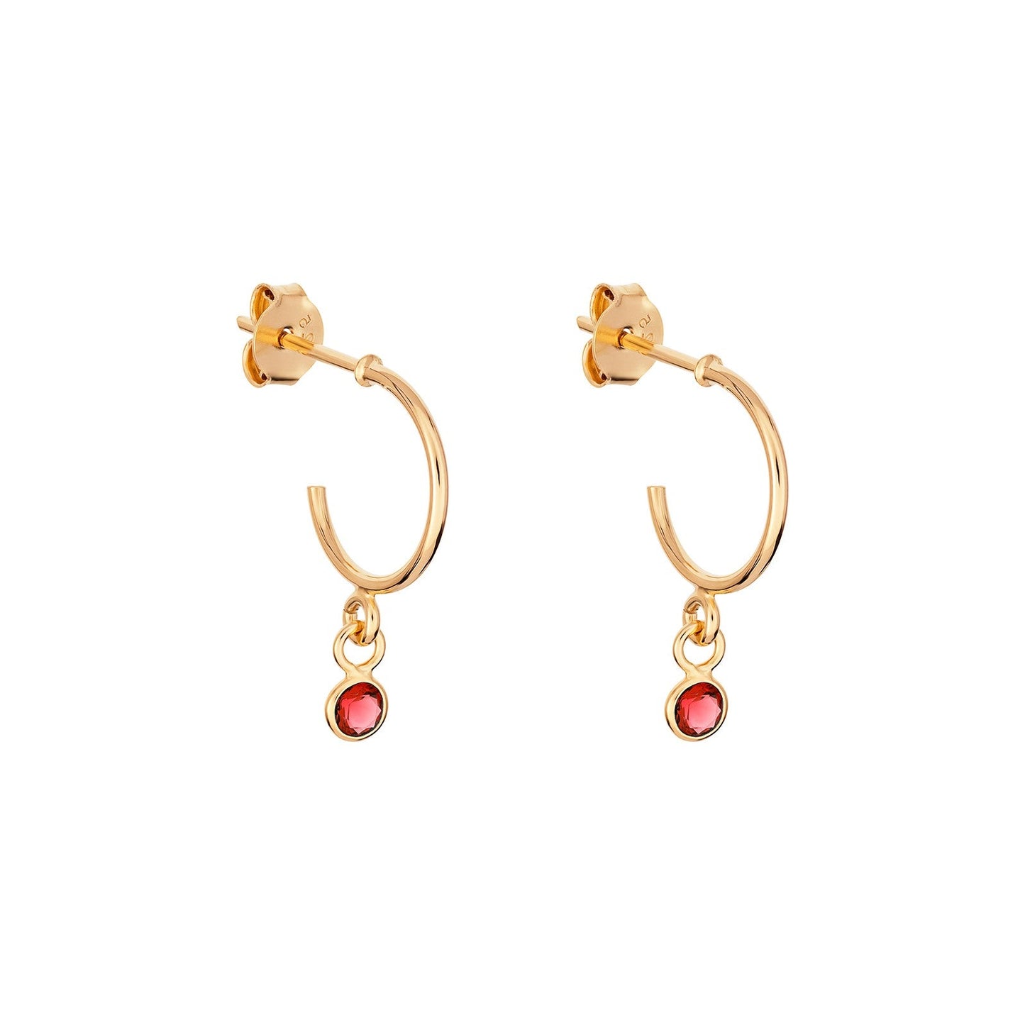 January Birthstone Hoop Earrings