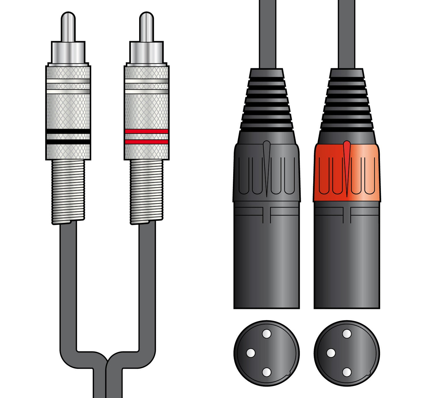 Citronic Twin 2 x RCA Plugs to 2 x XLR Male Cable